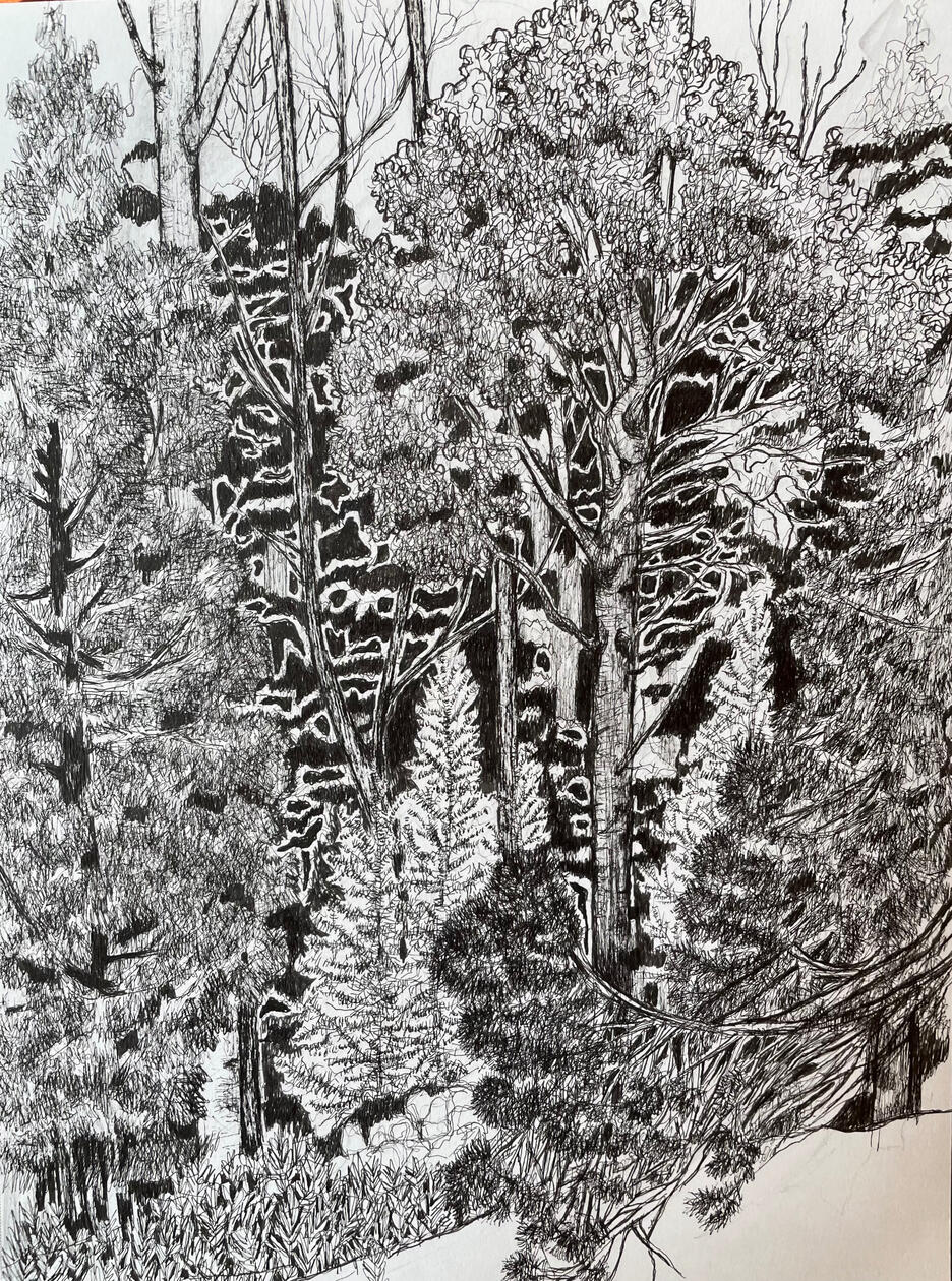 Untitled Untitled